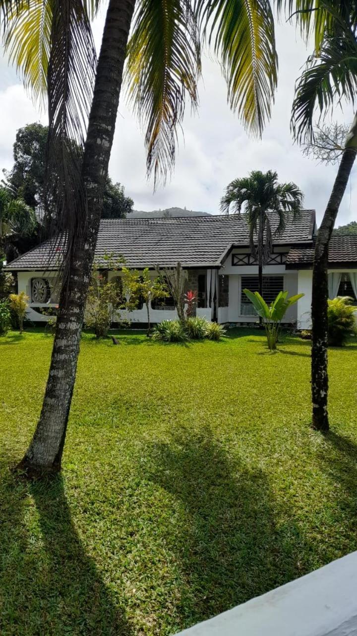 Maison Amantine