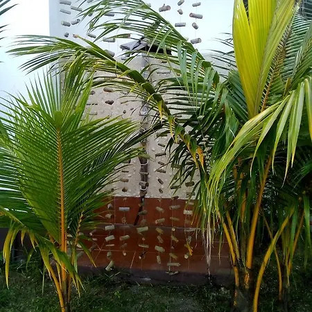 Maison Amantine Anse Royale Exterior photo