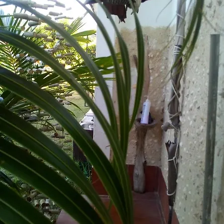 Maison Amantine Anse Royale Exterior photo