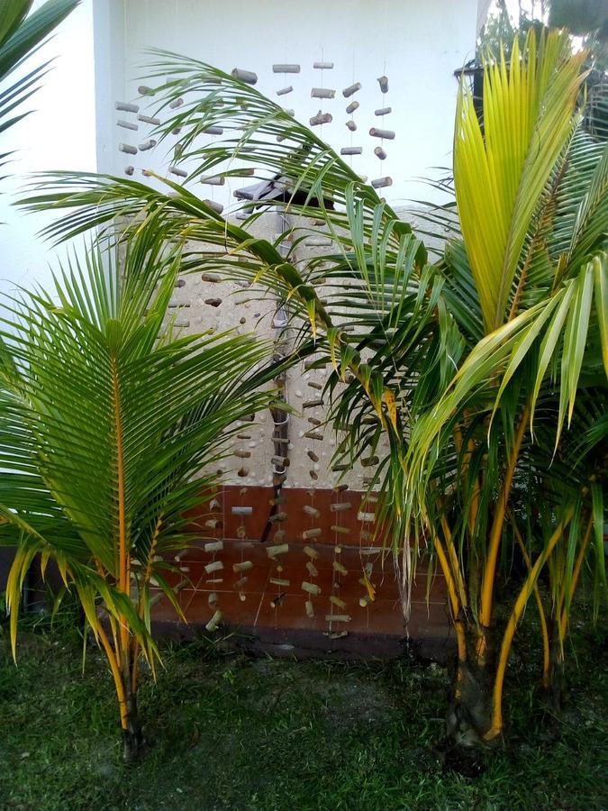 Maison Amantine Anse Royale
